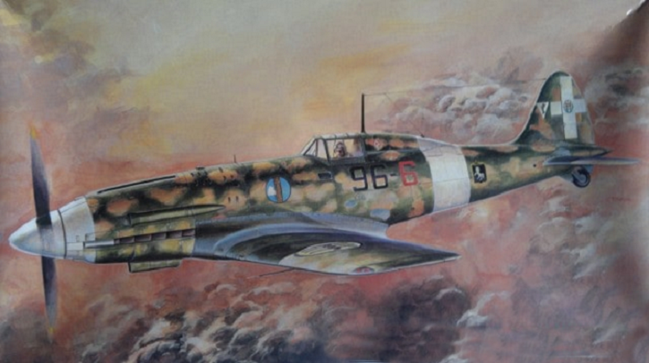A painting depicts a vintage military aircraft in flight, featuring camouflage, with clouds and a subdued color palette as the background.